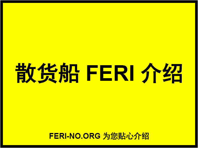 散货船FERI介绍