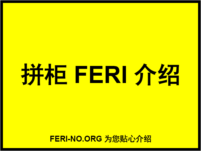 拼柜FERI介绍